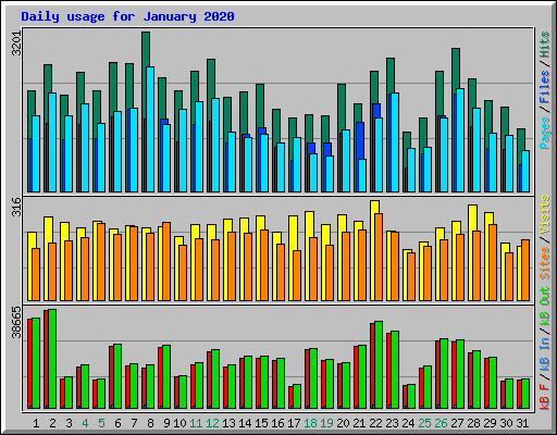 Daily usage for January 2020
