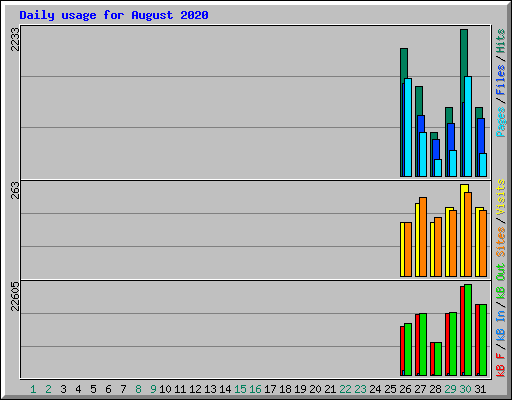 Daily usage for August 2020