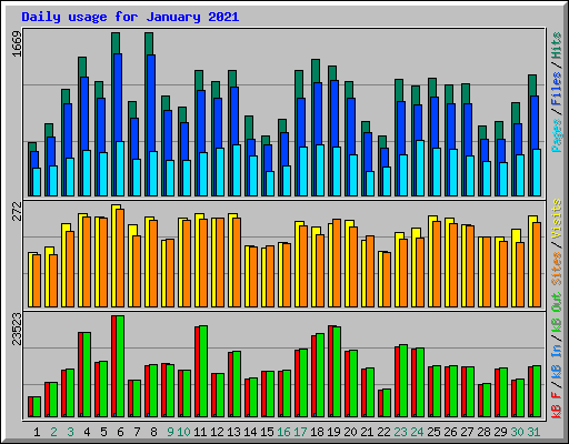 Daily usage for January 2021
