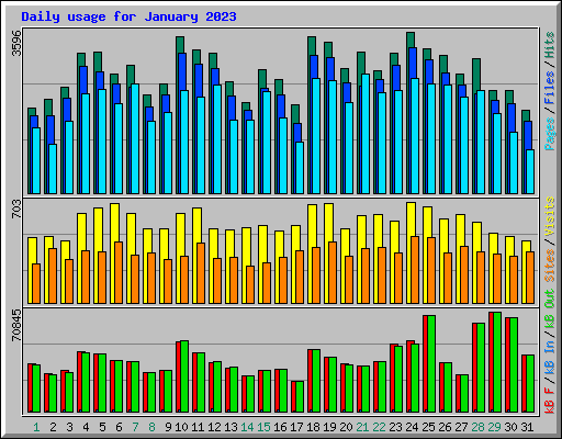 Daily usage for January 2023
