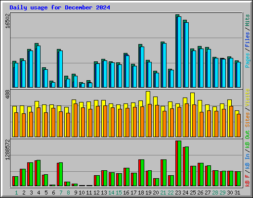 Daily usage for December 2024