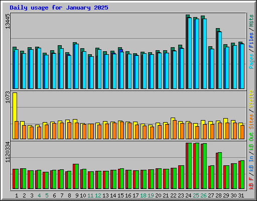 Daily usage for January 2025