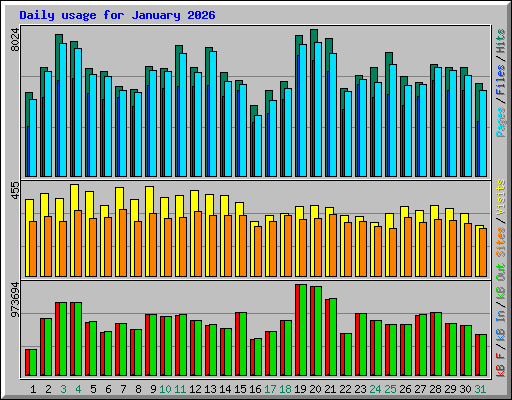 Daily usage for January 2026