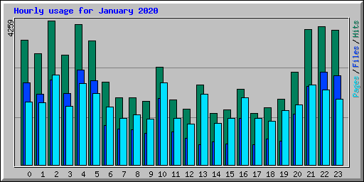 Hourly usage for January 2020