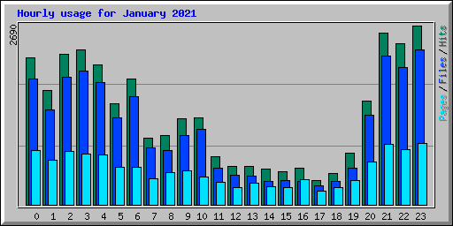 Hourly usage for January 2021