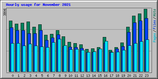 Hourly usage for November 2021