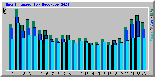 Hourly usage for December 2021