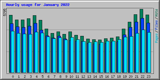 Hourly usage for January 2022