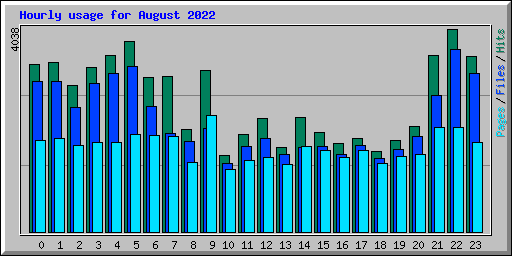 Hourly usage for August 2022