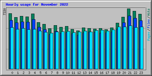 Hourly usage for November 2022