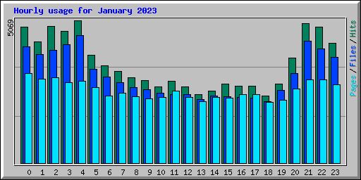 Hourly usage for January 2023