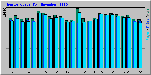 Hourly usage for November 2023