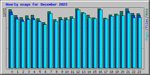 Hourly usage for December 2023