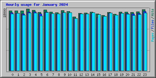 Hourly usage for January 2024