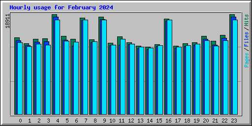 Hourly usage for February 2024