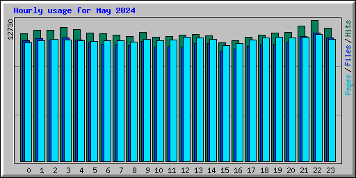 Hourly usage for May 2024