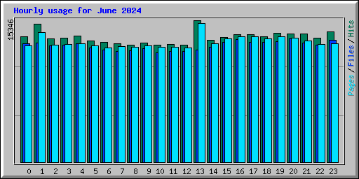 Hourly usage for June 2024