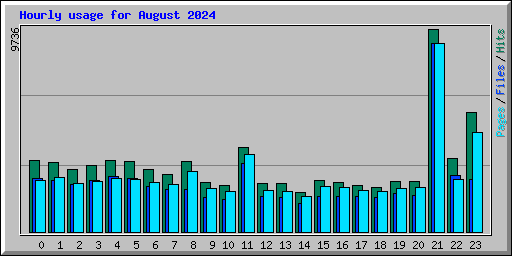 Hourly usage for August 2024