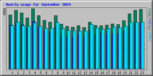 Hourly usage for September 2024