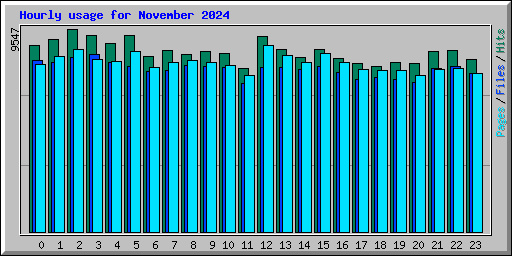 Hourly usage for November 2024