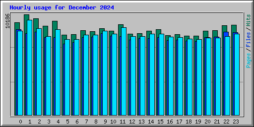 Hourly usage for December 2024