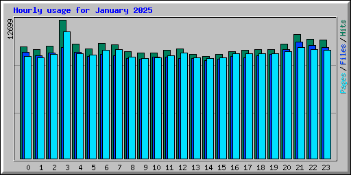 Hourly usage for January 2025