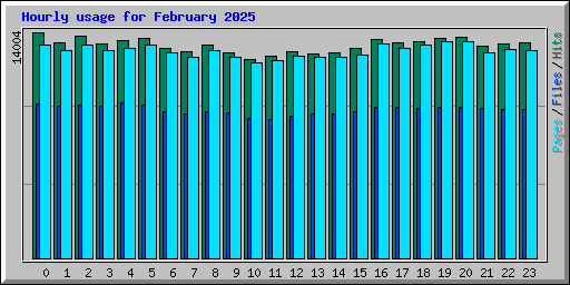 Hourly usage for February 2025