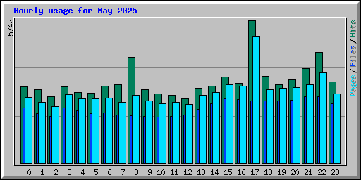 Hourly usage for May 2025