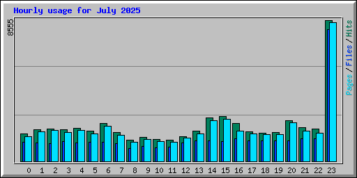 Hourly usage for July 2025