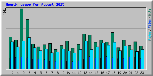 Hourly usage for August 2025