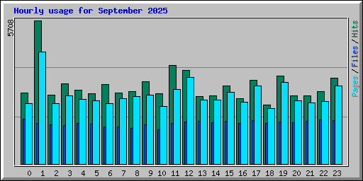 Hourly usage for September 2025