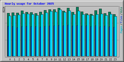 Hourly usage for October 2025