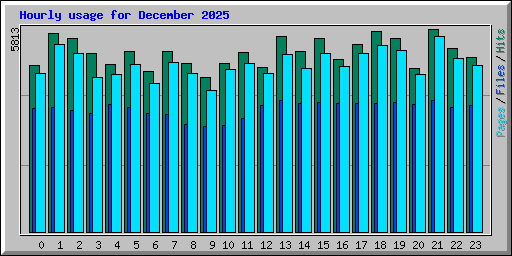 Hourly usage for December 2025