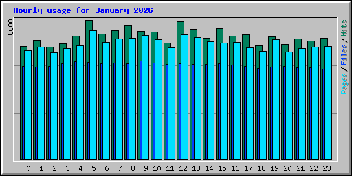 Hourly usage for January 2026