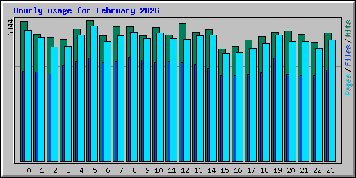 Hourly usage for February 2026