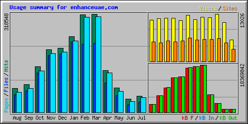 Usage summary for enhanceuae.com
